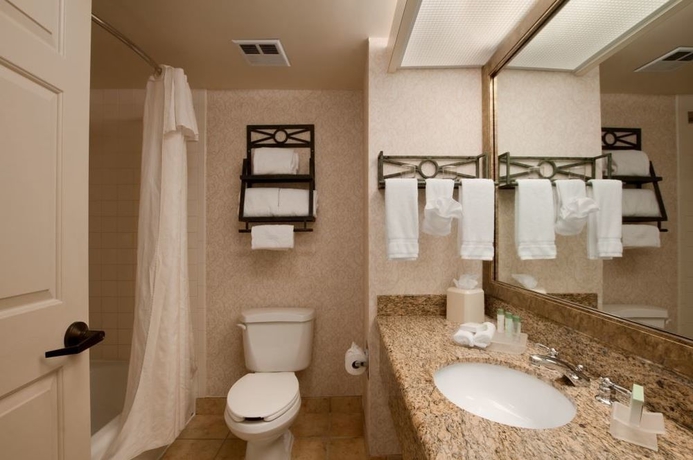 Imagen de la habitación del Hotel Homewood Suites By Hilton Austin-south/airport. Foto 3