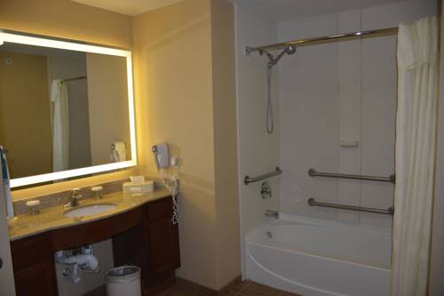 Imagen de la habitación del Hotel Homewood Suites By Hilton Brighton. Foto 7