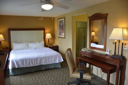 Imagen de la habitación del Hotel Homewood Suites By Hilton Brighton. Foto 12