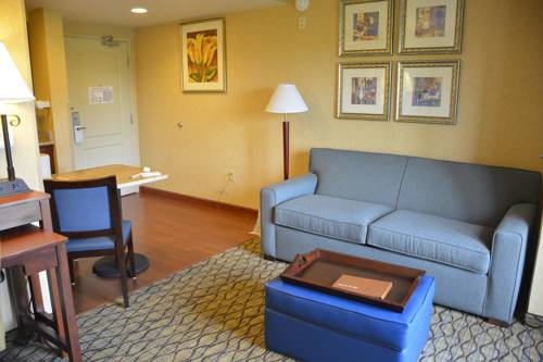 Imagen de la habitación del Hotel Homewood Suites By Hilton Brighton. Foto 15
