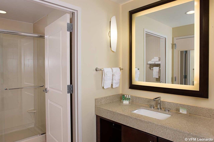Imagen general del Hotel Homewood Suites By Hilton Dallas Downtown, Tx. Foto 3