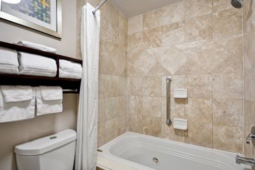 Imagen de la habitación del Hotel Homewood Suites By Hilton Dallas-lewisville. Foto 1