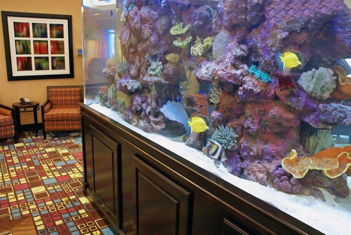 Imagen de los interiores del Hotel Homewood Suites By Hilton Fort Myers Airport/fgcu. Foto 14