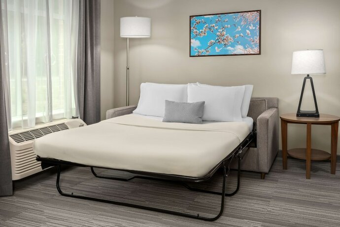 Imagen de la habitación del Hotel Homewood Suites By Hilton Greenville, NC. Foto 17