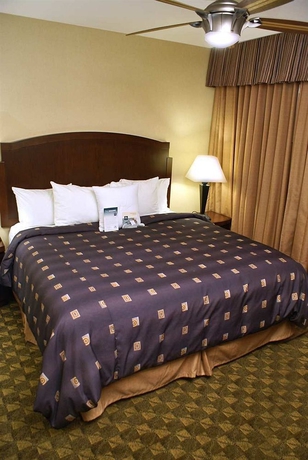 Imagen de la habitación del Hotel Homewood Suites By Hilton Henderson South Las Vegas. Foto 3