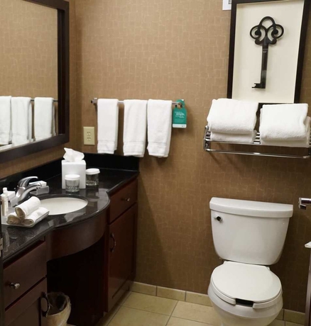 Imagen de la habitación del Hotel Homewood Suites By Hilton Indianapolis-downtown. Foto 3