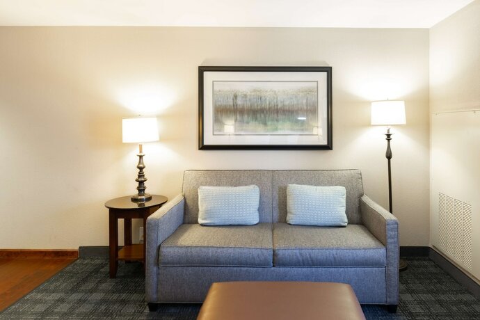 Imagen de la habitación del Hotel Homewood Suites By Hilton Lawrenceville Duluth. Foto 18