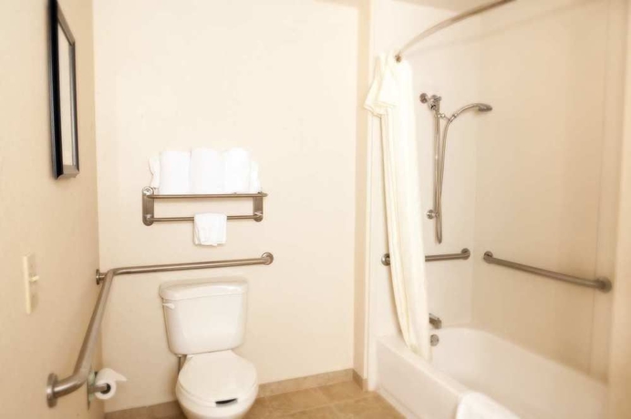 Imagen de la habitación del Hotel Homewood Suites By Hilton Memphis-germantown. Foto 5