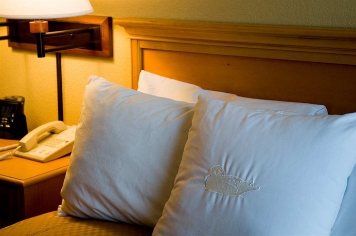Imagen de la habitación del Hotel Homewood Suites By Hilton Phoenix-biltmore. Foto 4