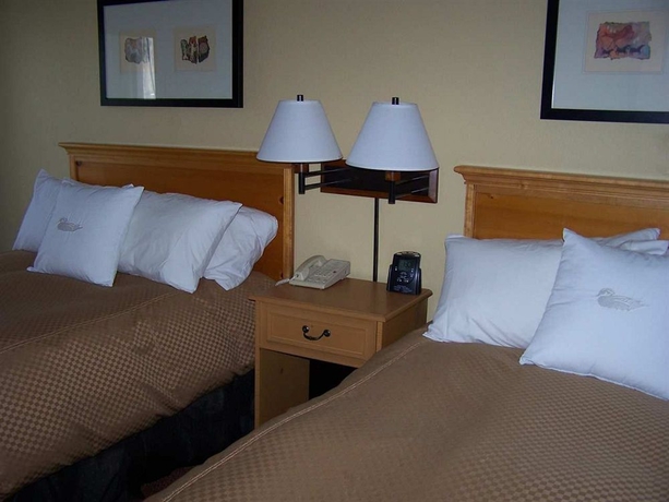 Imagen de la habitación del Hotel Homewood Suites By Hilton Phoenix-biltmore. Foto 6