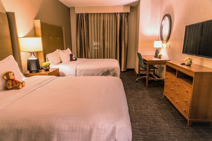 Imagen de la habitación del Hotel Homewood Suites By Hilton Pleasant Hill Concord. Foto 13