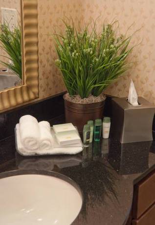Imagen de la habitación del Hotel Homewood Suites By Hilton Rockville- Gaithersburg. Foto 7
