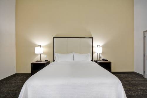 Imagen de la habitación del Hotel Homewood Suites By Hilton San Marcos. Foto 2