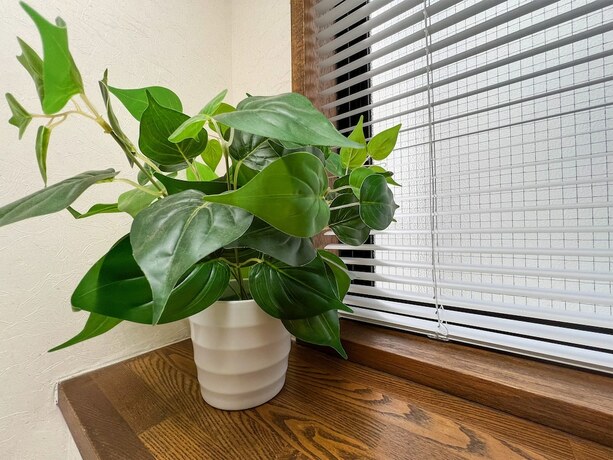 Imagen general del Hotel Hondori Inn. Foto 15