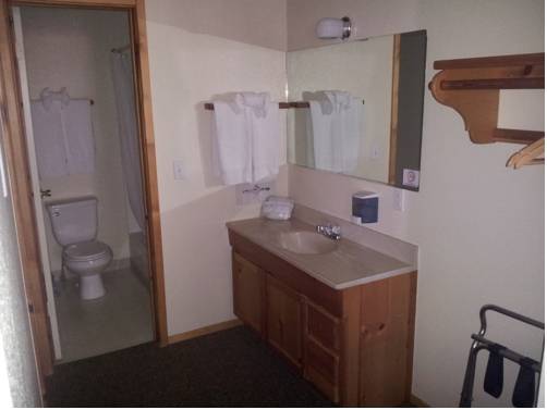 Imagen de la habitación del Hotel Honey Bear Lodge and Cabins. Foto 3