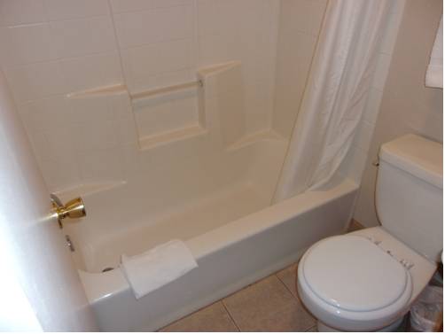 Imagen general del Hotel Honey Bear Lodge and Cabins. Foto 1