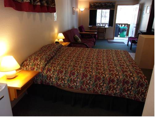 Imagen de la habitación del Hotel Honey Bear Lodge and Cabins. Foto 10
