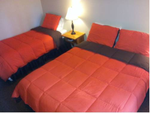 Imagen de la habitación del Hotel Honey Bear Lodge and Cabins. Foto 12