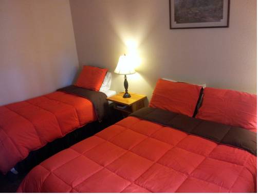 Imagen de la habitación del Hotel Honey Bear Lodge and Cabins. Foto 14