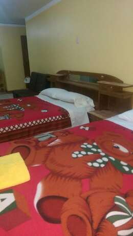 Imagen general del Hotel Honey House, AREQUIPA. Foto 13