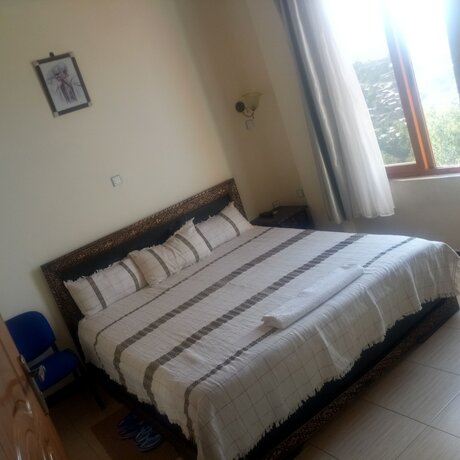 Imagen general del Hotel Honey Land. Foto 8