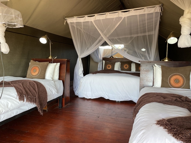Imagen de la habitación del Hotel Honeyguide Tented Safari Camps - Mantobeni. Foto 5
