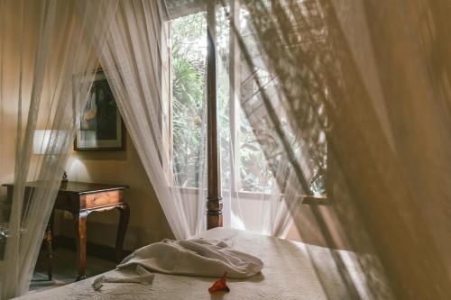 Imagen de la habitación del Hotel Honeymoon Guesthouse. Foto 7
