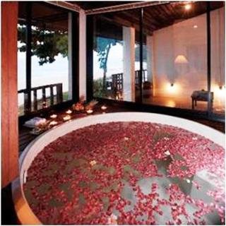 Imagen general del Hotel Honeymoon Private Island. Foto 1