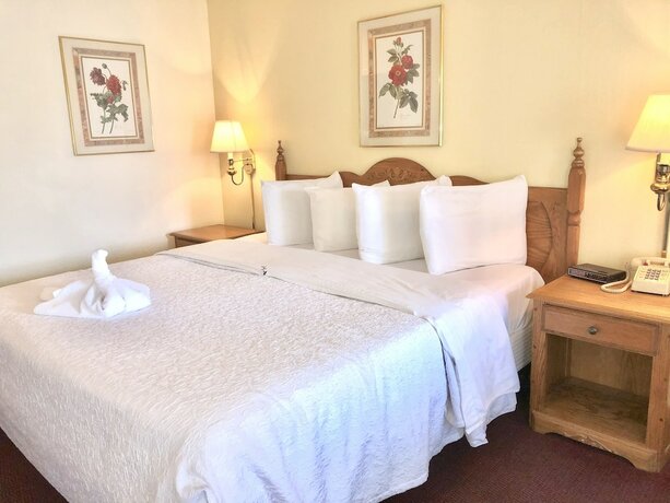Imagen de la habitación del Hotel Honeysuckle Inn And Conference Center. Foto 16