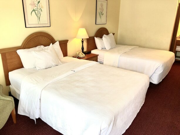 Imagen de la habitación del Hotel Honeysuckle Inn And Conference Center. Foto 18