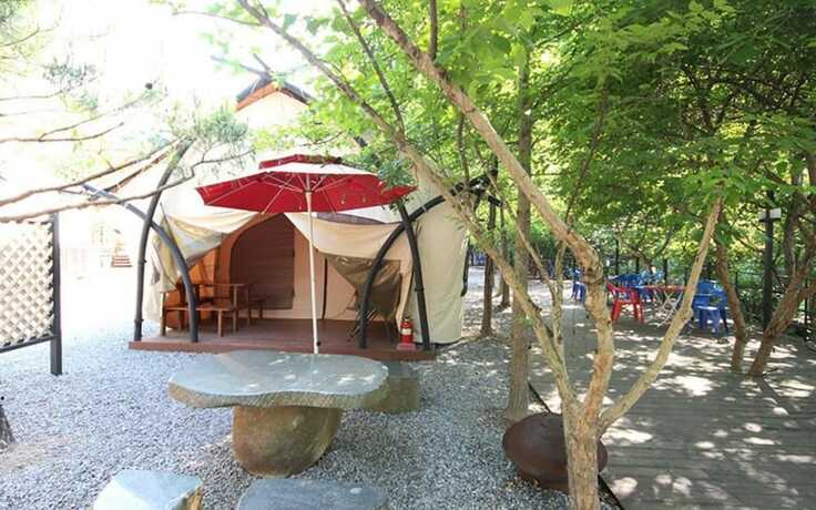 Imagen general del Hotel Hongcheon Coco Vivaldi Glamping Caravan. Foto 1