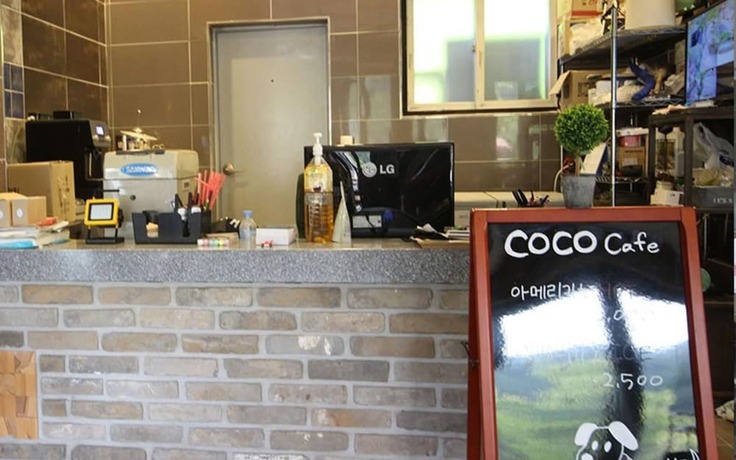 Imagen general del Hotel Hongcheon Coco Vivaldi Glamping Caravan. Foto 5