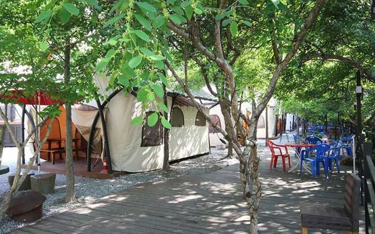 Imagen general del Hotel Hongcheon Coco Vivaldi Glamping Caravan. Foto 16