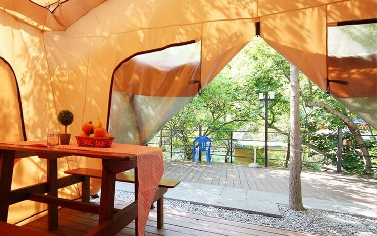 Imagen general del Hotel Hongcheon Coco Vivaldi Glamping Caravan. Foto 17
