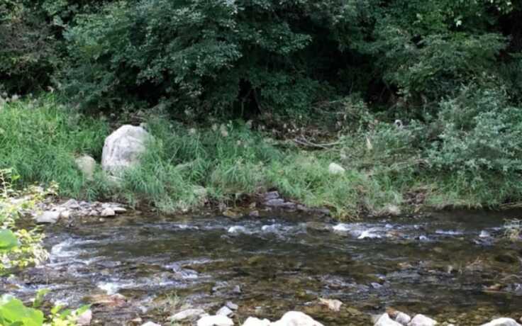 Imagen general del Hotel Hongcheon Gaon Hyuyang Village. Foto 3