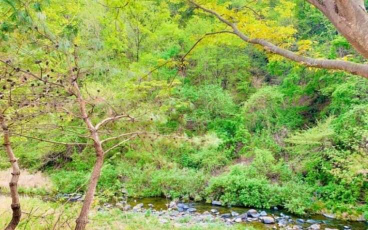 Imagen general del Hotel Hongcheon Gaon Hyuyang Village. Foto 13