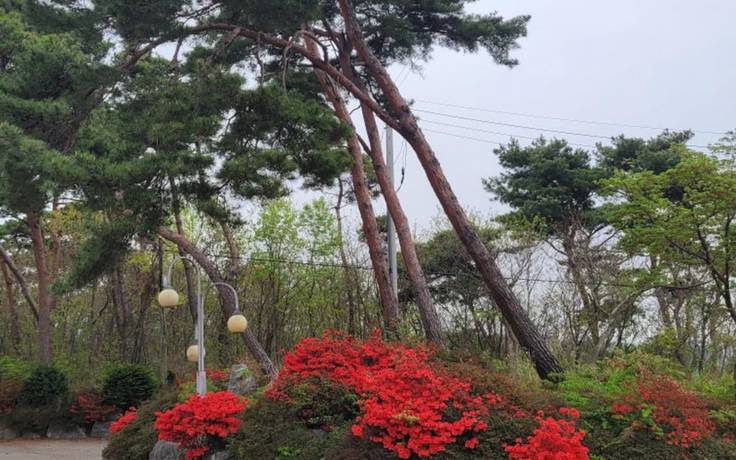 Imagen general del Hotel Hongseong Solbatcheonsu. Foto 2