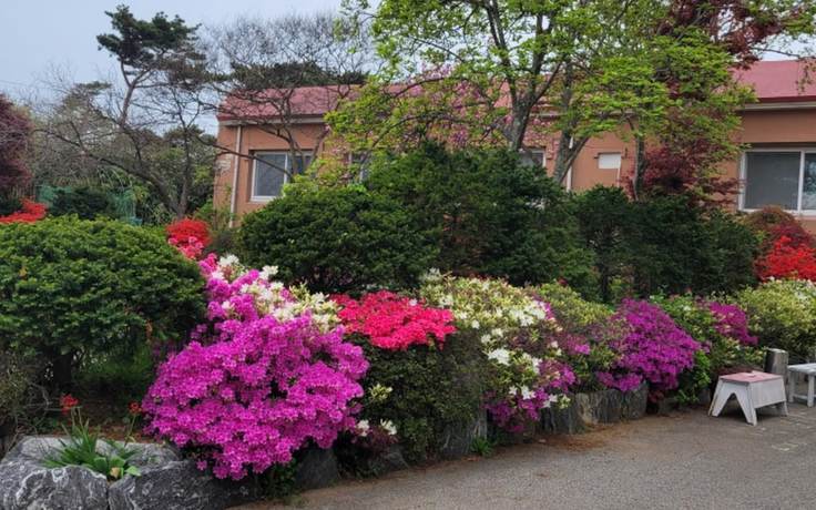 Imagen general del Hotel Hongseong Solbatcheonsu. Foto 4