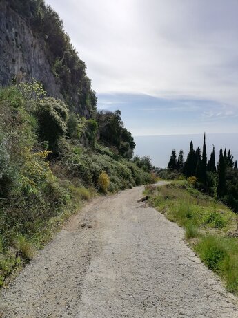 Imagen general del Hotel Honigtal Farmland. Foto 9