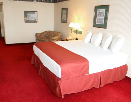 Imagen de la habitación del Hotel Hoover Dam Lodge. Foto 7