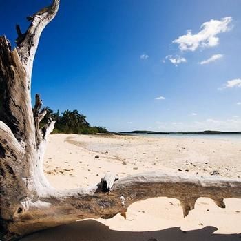 Imagen de los exteriores del Hotel Hope Town Harbour Lodge an Ascend Collection. Foto 10