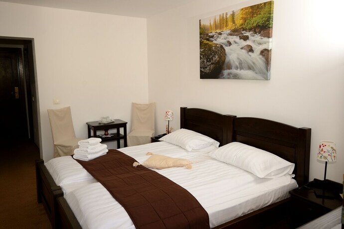 Imagen de la habitación del Hotel Hora Cu Brazi. Foto 13