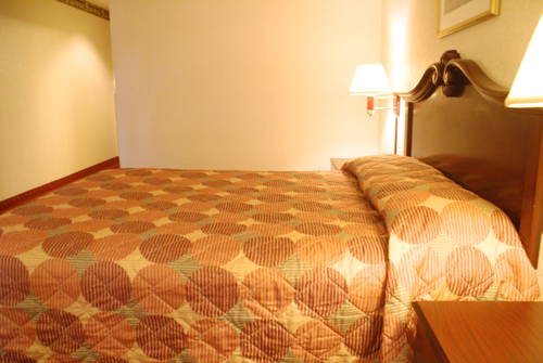 Imagen de la habitación del Hotel Horizon Inn, Avenel. Foto 2