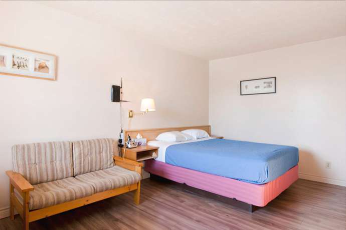 Imagen de la habitación del Hotel Horizon Motel. Foto 10