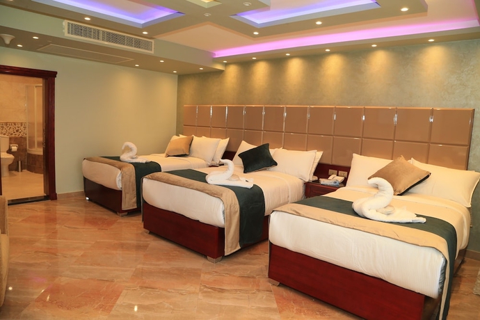 Imagen de la habitación del Hotel Horizon Nile Plaza. Foto 4