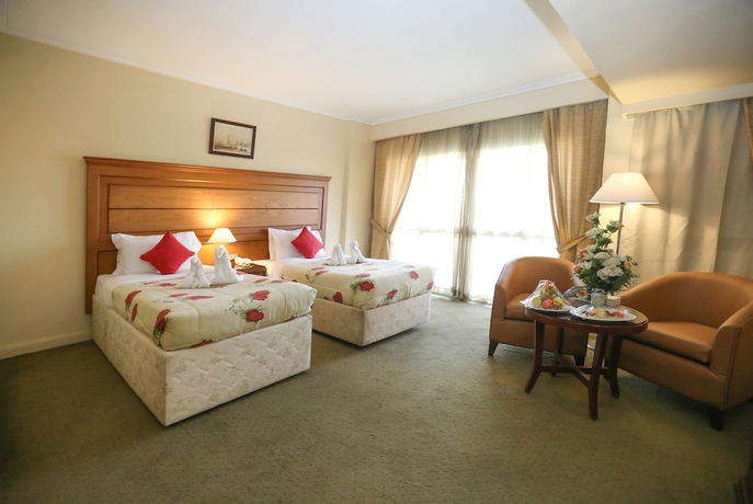 Imagen de la habitación del Hotel Horizon Shahrazad. Foto 14