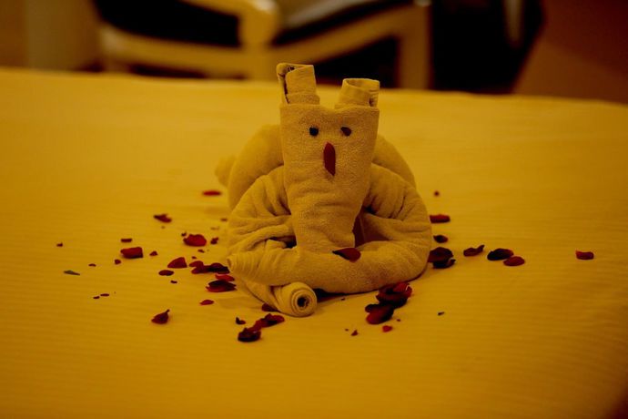Imagen de la habitación del Hotel Horizon, Udaipur. Foto 12