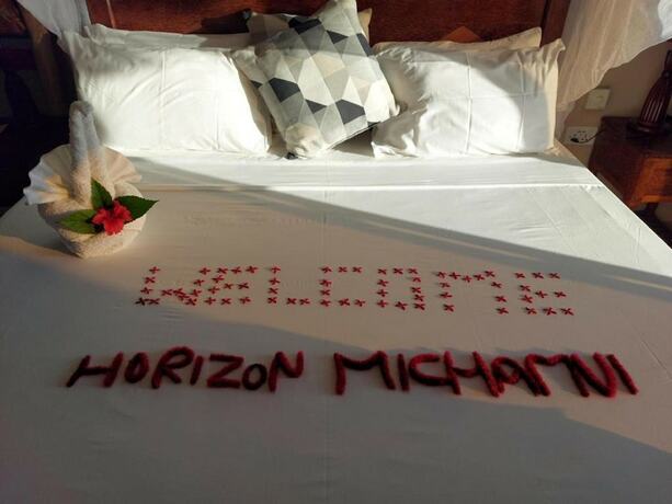 Imagen de la habitación del Hotel Horizon of Michamvi Beach. Foto 16
