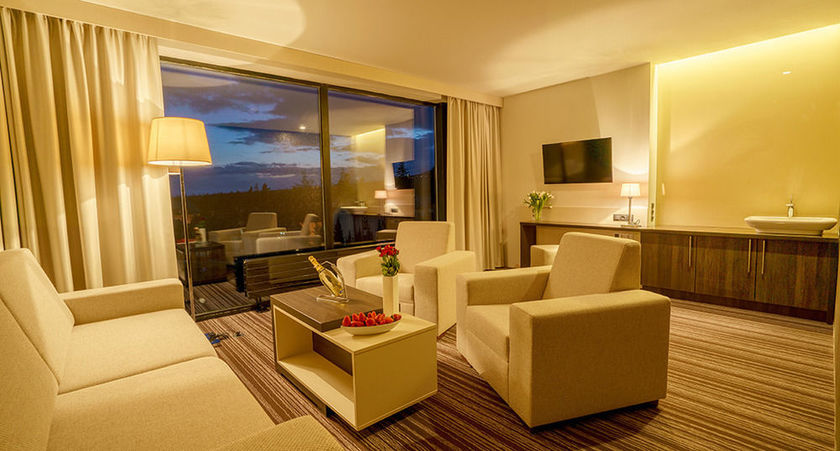 Imagen de la habitación del Hotel Horizont Resort, Star&aacute; Lesn&aacute;. Foto 6