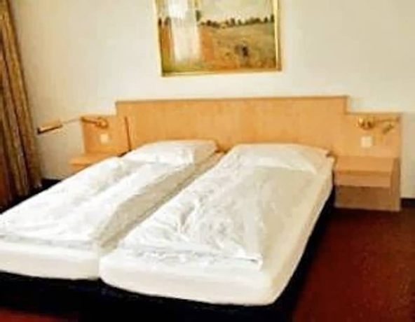 Imagen de la habitación del Hotel Hornung. Foto 8